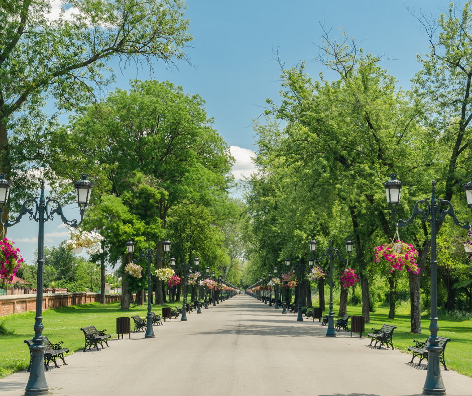 How many cities, so many parks. Here are the 5 most beautiful parks in Romania